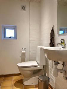a bathroom with a toilet and a sink at Annekset Skagen in Skagen +9 photos