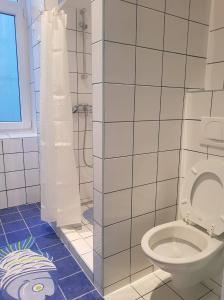 a bathroom with a toilet and a shower at Ferienwohnung Schloessel 26/16 in Vienna