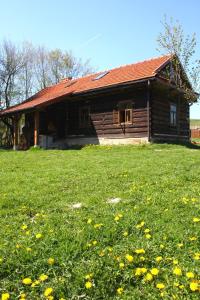 a wooden house with a field of grass and flowers at Gospodarstwo Agroturystyczne "Paryja" in Ołpiny
