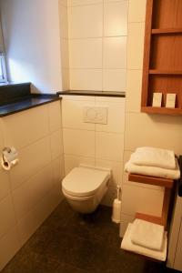 a bathroom with a toilet and a sink at Villa Valkenburg in Valkenburg