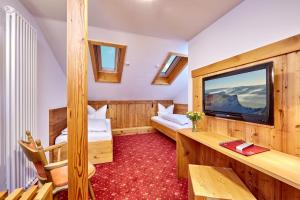 TV a/nebo společenská místnost v ubytování Hotel Franziska