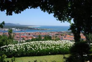 a field of white flowers on top of a city at Quinta de Valverde in Viana do Castelo