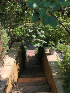 a staircase leading up to a garden with trees at Ferienwohnung Altenberg 02 in Ahlbeck