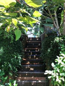 a set of stairs with plants and lights at Ferienwohnung Altenberg 02 in Ahlbeck