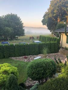 a horse is grazing in a garden with bushes at Ferienwohnung Altenberg 02 in Ahlbeck