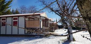 una cabaña en la nieve con un árbol en Camping Castillo de Loarre, en Loarre