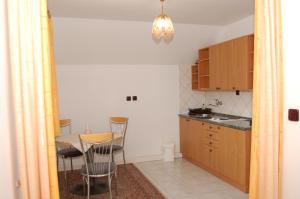 Kuchyňa alebo kuchynka v ubytovaní Apartmány Florian
