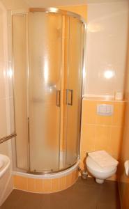 Kúpeľňa v ubytovaní Apartmány Florian