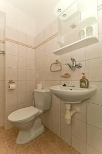 a bathroom with a toilet and a sink at Penzion Florian in Frymburk