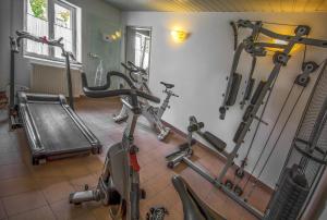 Fitness centrum a/nebo fitness zařízení v ubytování Hotel Adler