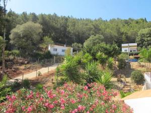 a view of a garden with pink flowers at Casa do avô Teixeira in Sesimbra