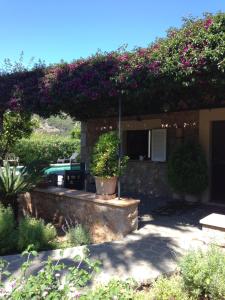 A garden outside Ses llimoneres