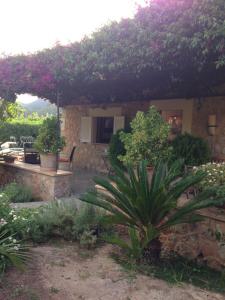 A garden outside Ses llimoneres