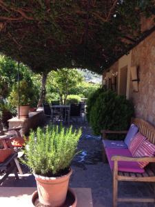 A garden outside Ses llimoneres