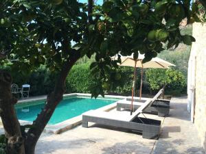 The swimming pool at or close to Ses llimoneres