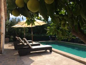 The swimming pool at or close to Ses llimoneres