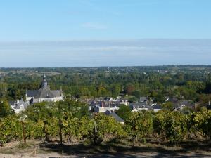a view of a town from a hill with vines at Clos sainte catherine in Rochefort-sur-Loire