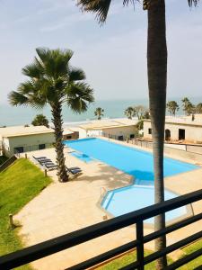 班珠爾的住宿－Gambia Seafront Central，享有棕榈树游泳池和大海的景色