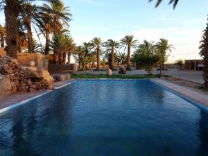 ein Swimmingpool in einem Resort mit Palmen in der Unterkunft Amerdoul in Icht
