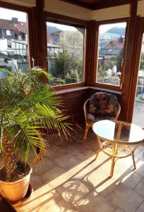 ターレにあるFerienhaus Pieperの台・椅子・植物の入ったポーチ