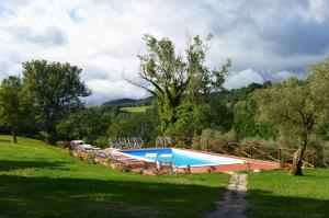 
The swimming pool at or close to Castello Di Petroia
