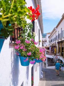 a row of potted flowers hanging on a building at La casa del barrio in Mijas