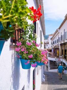 ミハスにあるLa casa del barrioの鉢植えの花列