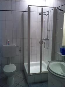 a bathroom with a shower and a toilet and a sink at Haus Pamela in Neuharlingersiel
