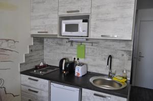 Cucina o angolo cottura di Frozen View New Gudauri
