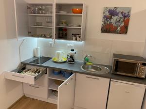 małą kuchnię ze zlewem i kuchenką mikrofalową w obiekcie Apartament W KWIATKI:) Pogorzelica w Pogorzelicy +15 zdjęć
