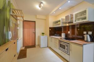una cucina con frigorifero e piano cottura forno superiore di Apartament Krupówki 4 os CENTRUM a Zakopane
