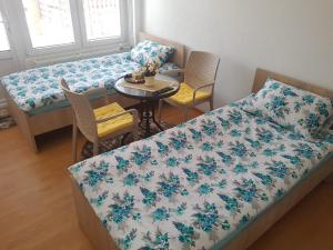 Postel nebo postele na pokoji v ubytování Apartment Elmari