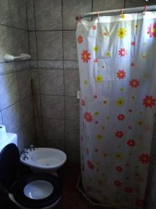 y baño con cortina de ducha y aseo. en Laguna Verde Departamentos, en Villa Pehuenia