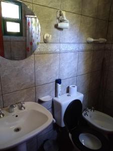 Un baño con lavabo, inodoro y espejo. en Laguna Verde Departamentos, en Villa Pehuenia 34 fotos más