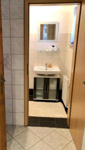 a bathroom with a sink and a mirror at FEWO Brockenblick in Allrode