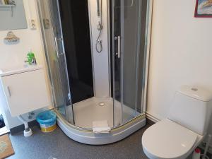 a shower in a bathroom with a toilet at Hyttingsfabodstugor in Borlänge