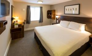 um quarto de hotel com uma cama grande e uma televisão em Starling Cloud em Aberystwyth