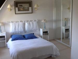 sypialnia z łóżkiem z niebieskimi poduszkami i lustrem w obiekcie Domaine de la Botterie w mieście Azay-le-Ferron