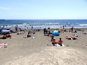A beach at or near the holiday home