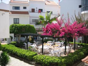 Ein Garten an der Unterkunft Apartamentos HG Cristian Sur