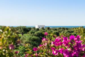 a field of flowers with a white building in the background at Rocco Forte Masseria Torre Maizza in Savelletri di Fasano