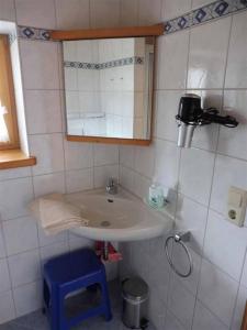 a bathroom with a sink and a mirror at Haus Eicher in Schneizlreuth