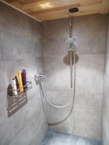 bagno con doccia e soffione di 2-Zimmer-Whg im Souterrain mit neuer Sauna a Großenseebach