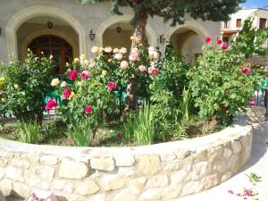 A garden outside Hotel Silos 2000