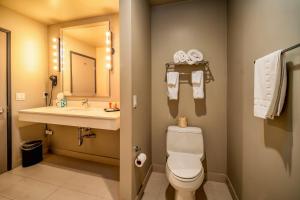 a bathroom with a toilet and a sink and a mirror at Crescent Bay Inn in Laguna Beach
