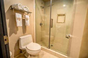 a bathroom with a toilet and a shower at Crescent Bay Inn in Laguna Beach