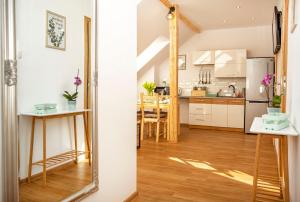 Kuchyňa alebo kuchynka v ubytovaní Apartament w Rynku