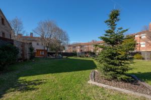 a green yard with a pine tree in front of a building at Mas Can Calet Aparthotel in Les Franqueses del Vallès