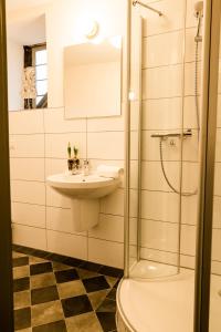 La salle de bains est pourvue d'un lavabo et d'une douche. dans l'établissement Weinhaus Schultes, à Limburg an der Lahn