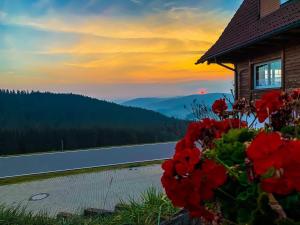 une maison avec des fleurs rouges à côté d'une masse d'eau dans l'établissement Pension Forsthaus Täle, à Titisee-Neustadt